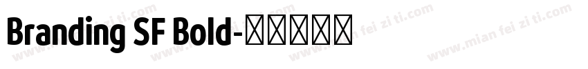 Branding SF Bold字体转换